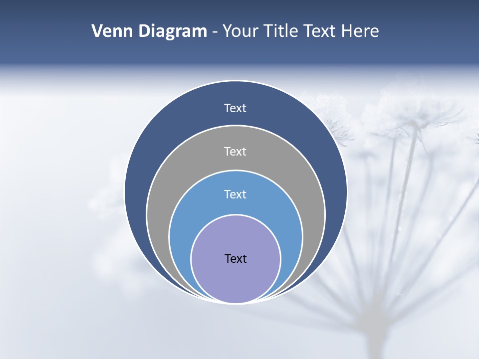 Outdoor Anthriscus Macro PowerPoint Template
