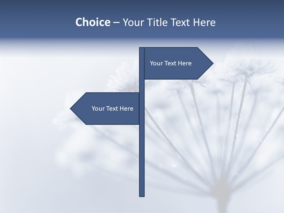 Outdoor Anthriscus Macro PowerPoint Template