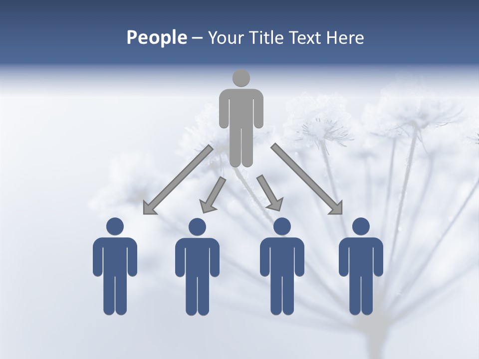 Outdoor Anthriscus Macro PowerPoint Template