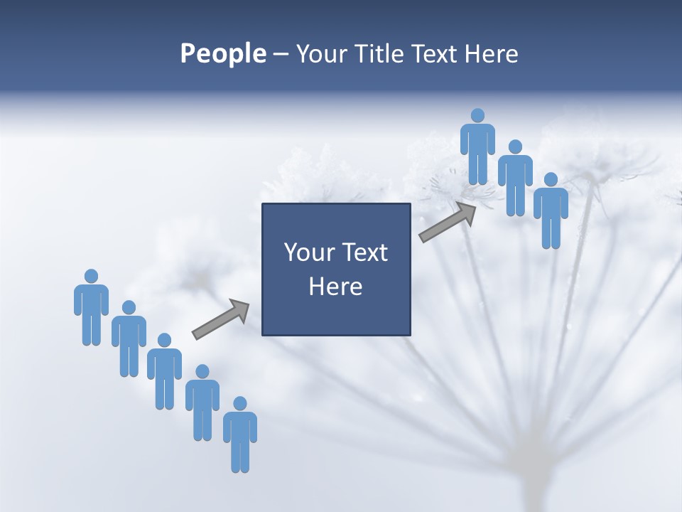 Outdoor Anthriscus Macro PowerPoint Template