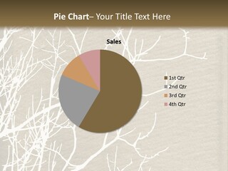 A Picture Of A Tree With No Leaves On It PowerPoint Template