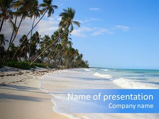 A Beach With Palm Trees And The Ocean PowerPoint Template