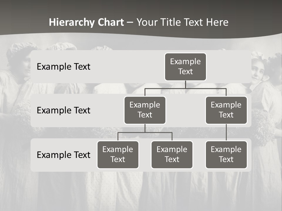 A Group Of Women With Flowers In Their Hair PowerPoint Template