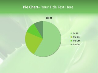 A Green Plant Powerpoint Template Is Shown PowerPoint Template