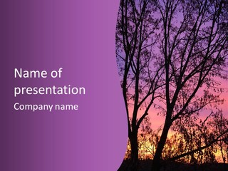 A Tree In The Sunset With A Purple Background PowerPoint Template