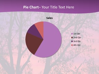 A Tree In The Sunset With A Purple Background PowerPoint Template