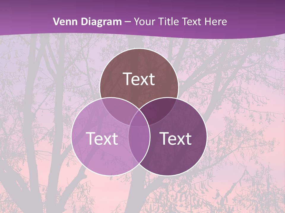 A Tree In The Sunset With A Purple Background PowerPoint Template