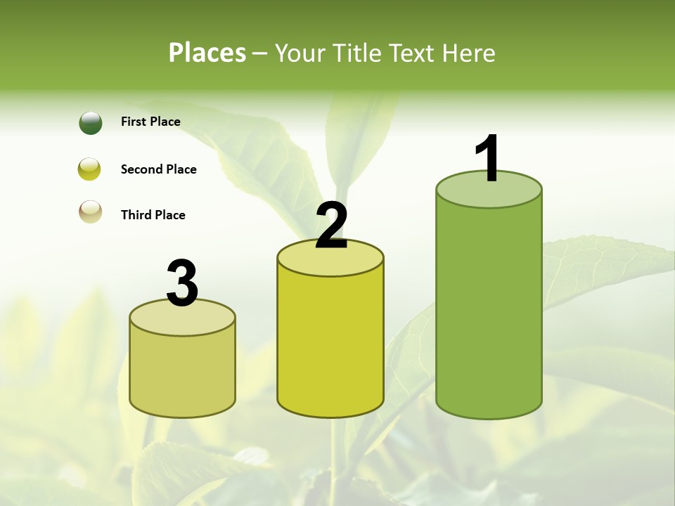 A Green Plant With Leaves On A Sunny Day PowerPoint Template