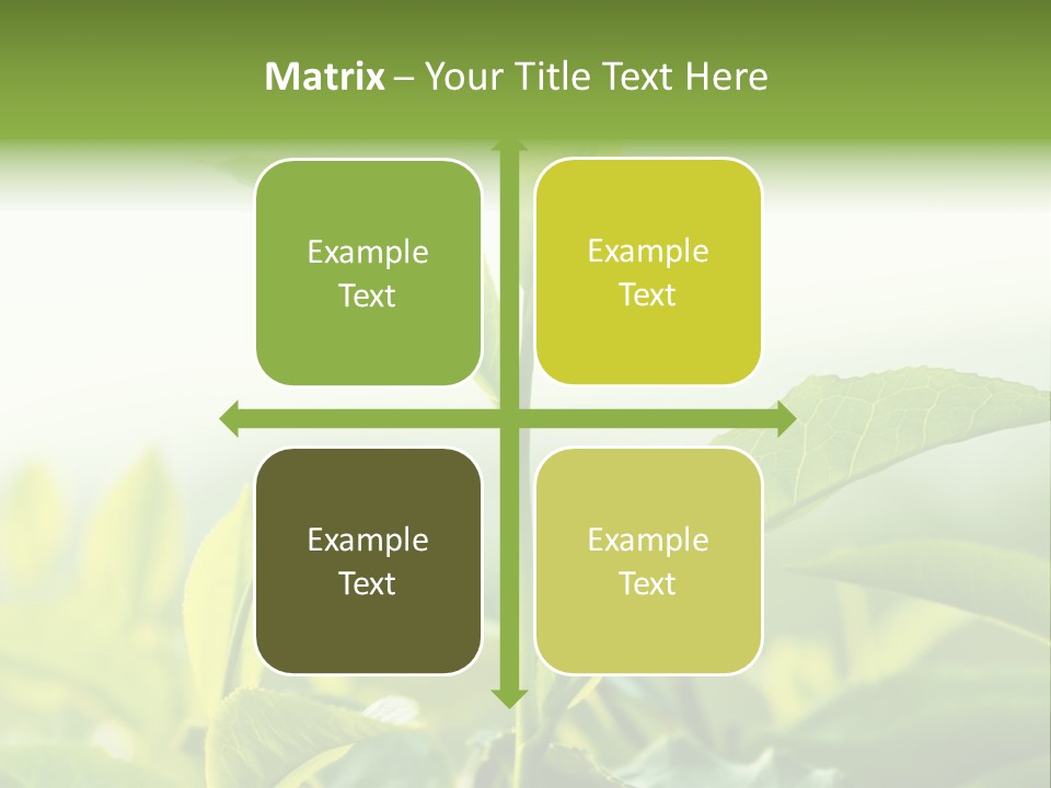 A Green Plant With Leaves On A Sunny Day PowerPoint Template