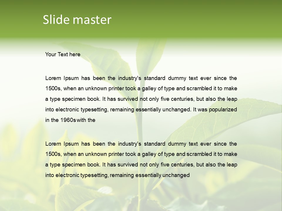 A Green Plant With Leaves On A Sunny Day PowerPoint Template