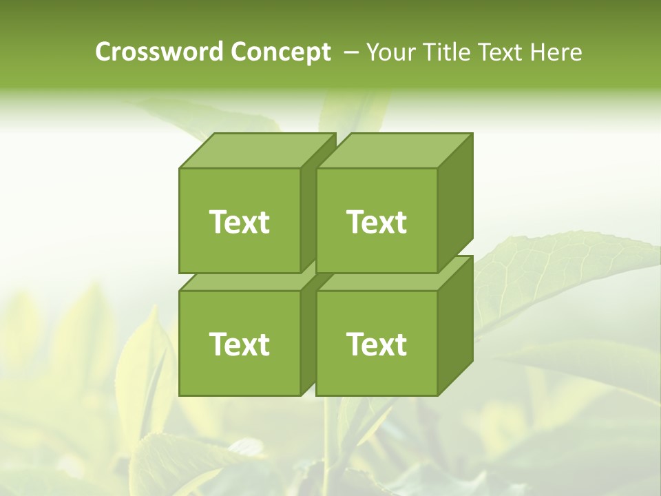 A Green Plant With Leaves On A Sunny Day PowerPoint Template