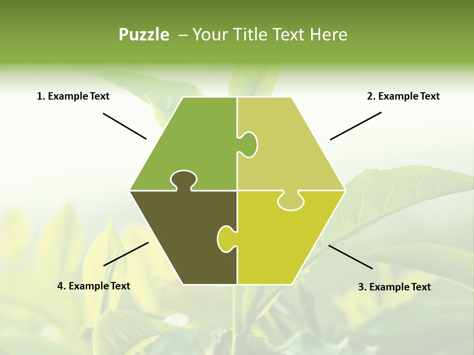 A Green Plant With Leaves On A Sunny Day PowerPoint Template