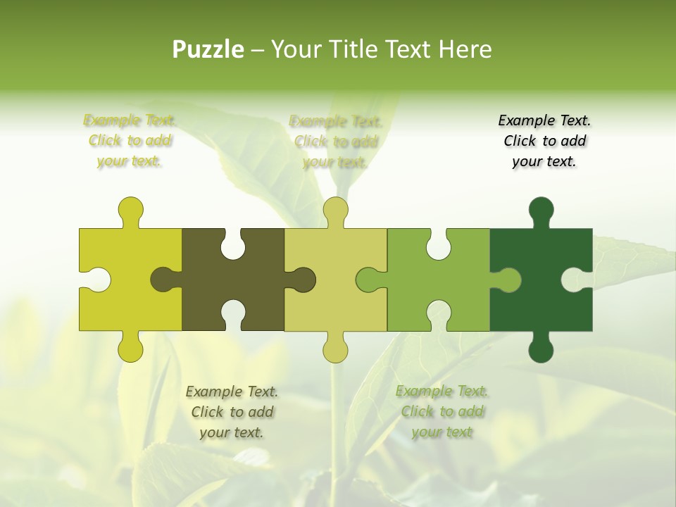 A Green Plant With Leaves On A Sunny Day PowerPoint Template