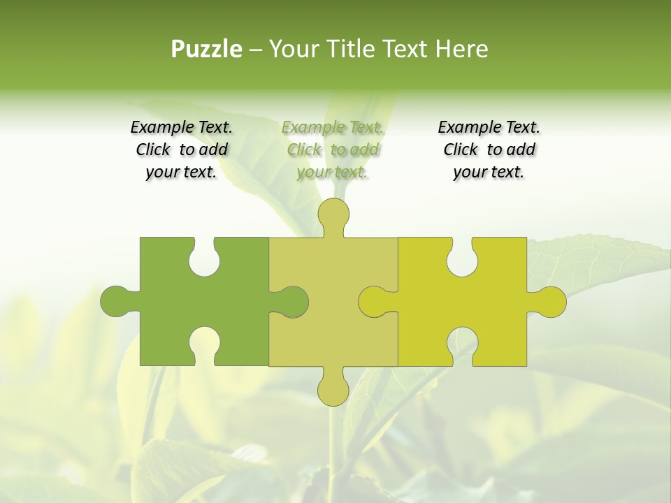 A Green Plant With Leaves On A Sunny Day PowerPoint Template