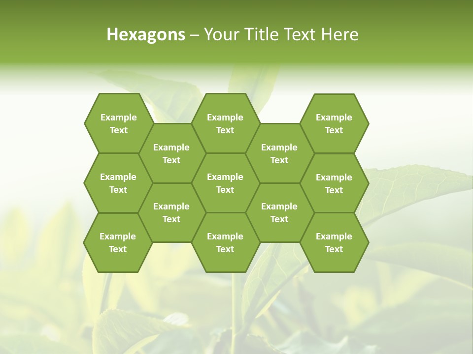 A Green Plant With Leaves On A Sunny Day PowerPoint Template