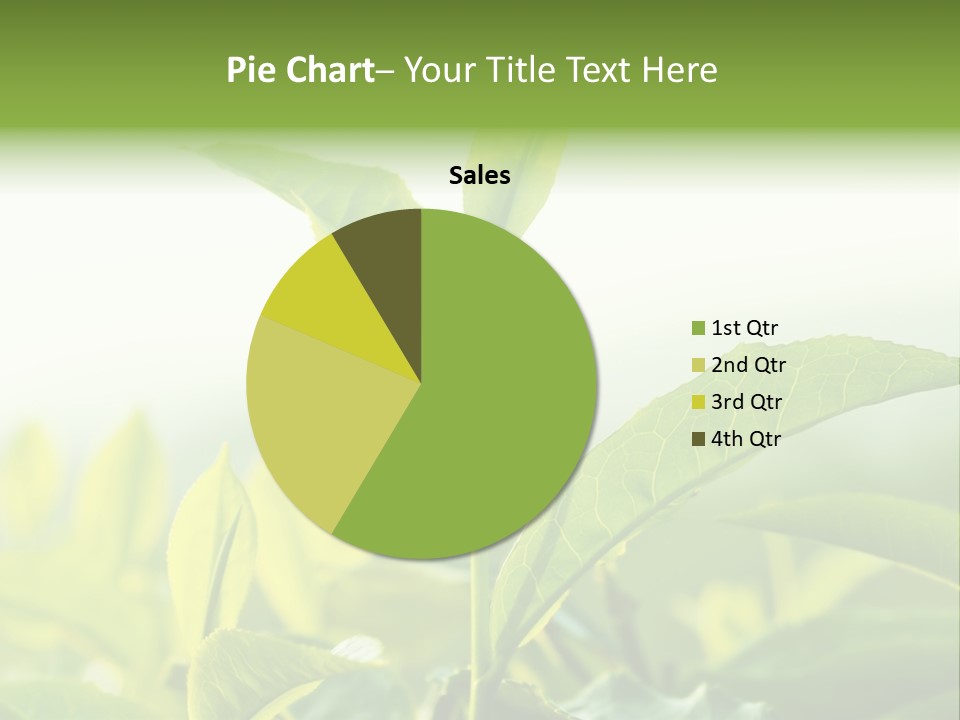 A Green Plant With Leaves On A Sunny Day PowerPoint Template