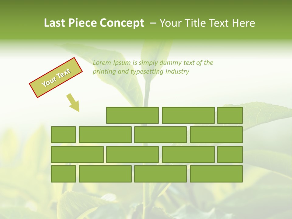 A Green Plant With Leaves On A Sunny Day PowerPoint Template