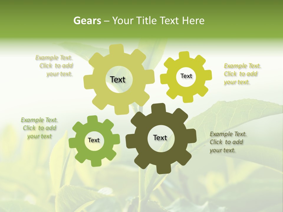 A Green Plant With Leaves On A Sunny Day PowerPoint Template