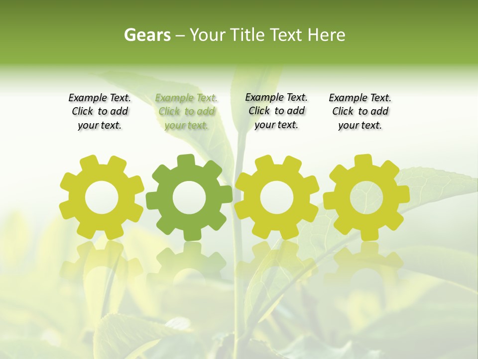 A Green Plant With Leaves On A Sunny Day PowerPoint Template