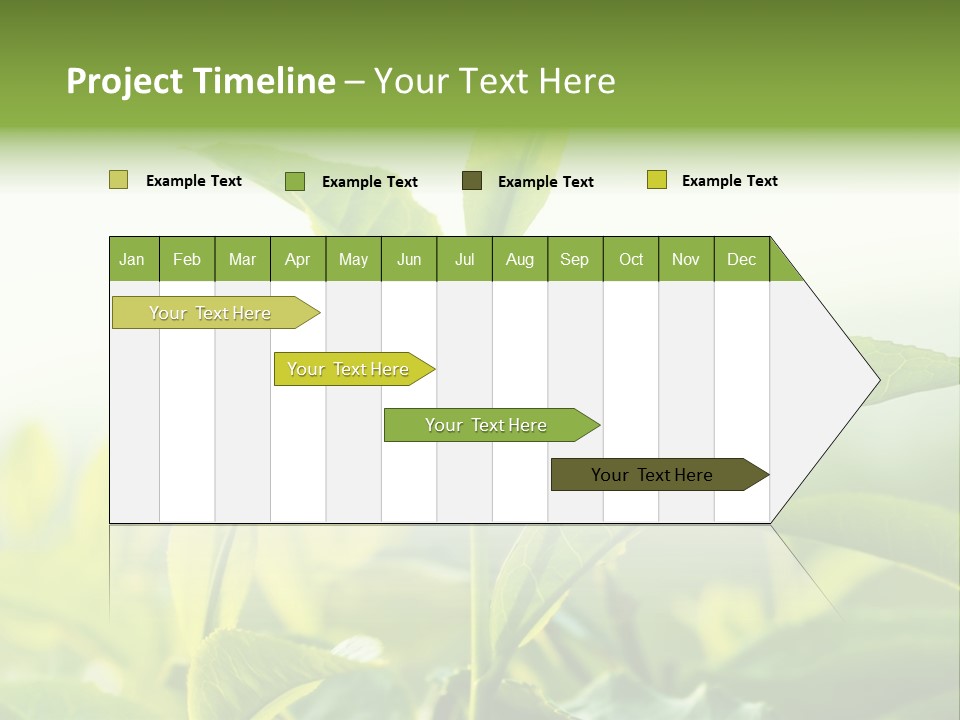 A Green Plant With Leaves On A Sunny Day PowerPoint Template