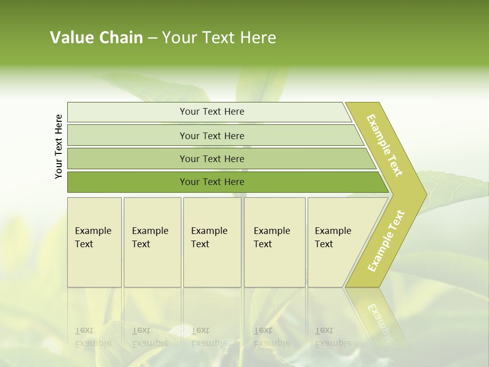 A Green Plant With Leaves On A Sunny Day PowerPoint Template