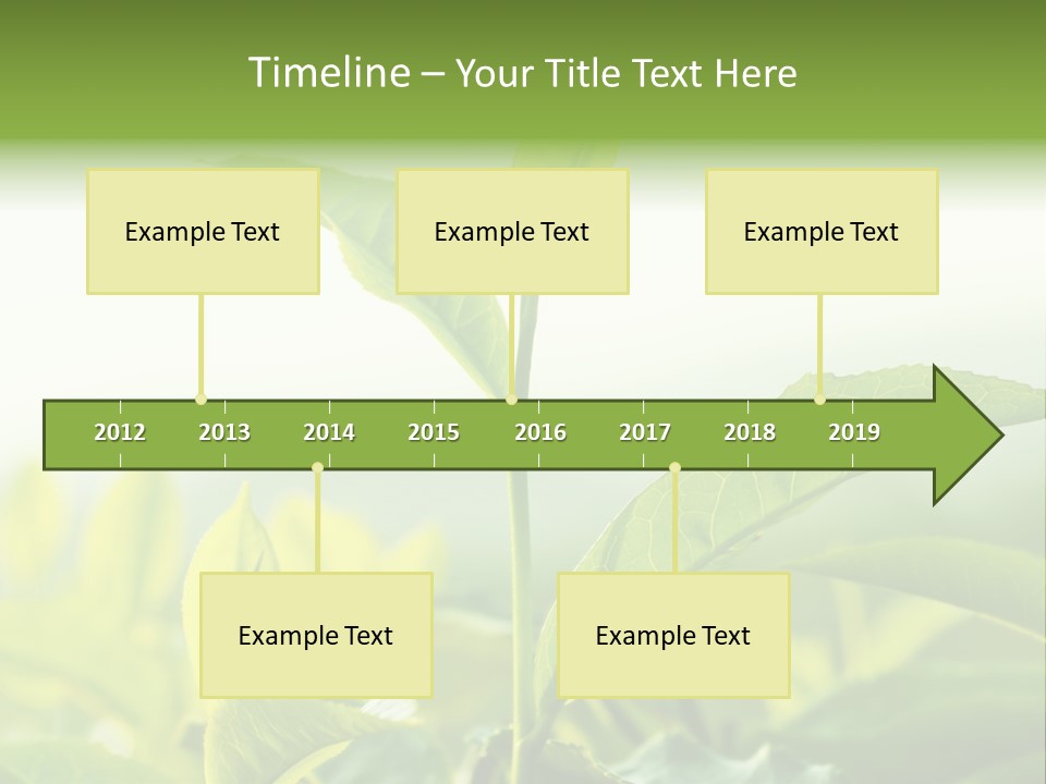 A Green Plant With Leaves On A Sunny Day PowerPoint Template