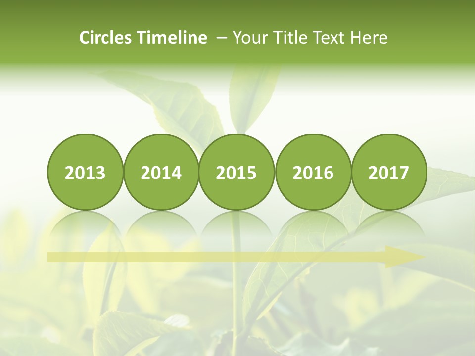 A Green Plant With Leaves On A Sunny Day PowerPoint Template