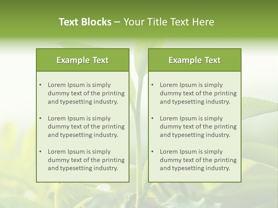 A Green Plant With Leaves On A Sunny Day PowerPoint Template
