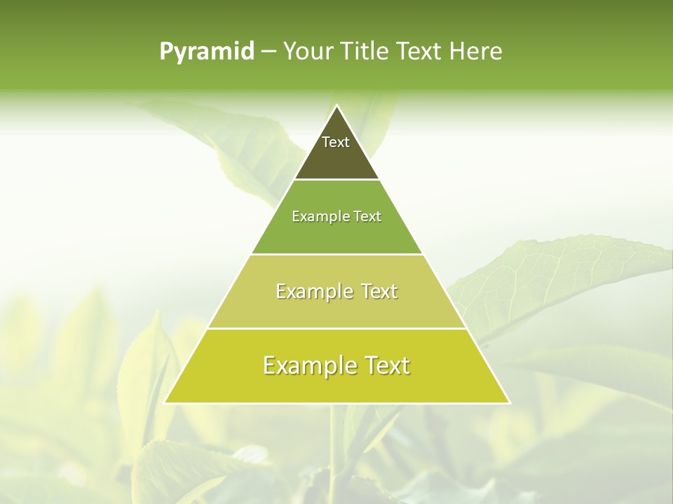 A Green Plant With Leaves On A Sunny Day PowerPoint Template