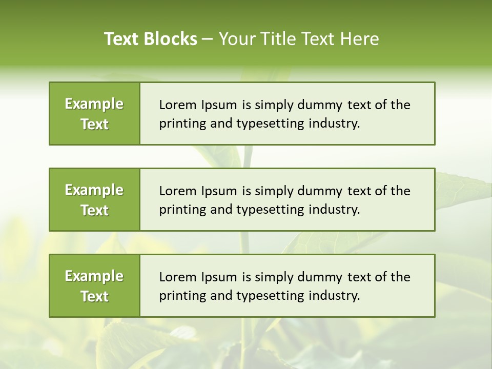 A Green Plant With Leaves On A Sunny Day PowerPoint Template