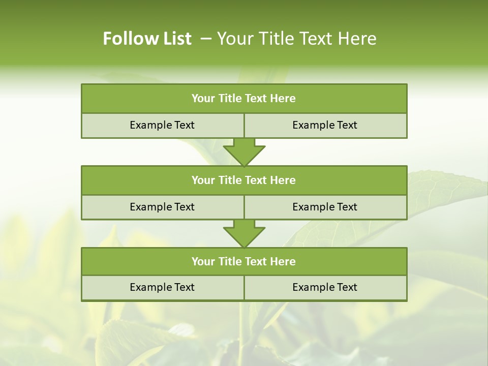 A Green Plant With Leaves On A Sunny Day PowerPoint Template