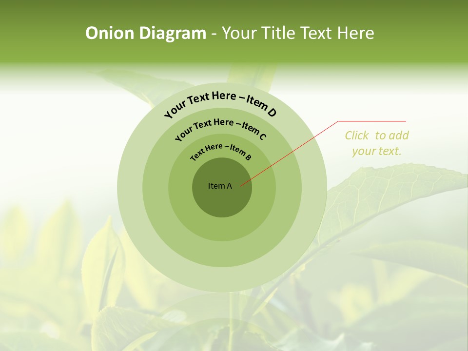 A Green Plant With Leaves On A Sunny Day PowerPoint Template