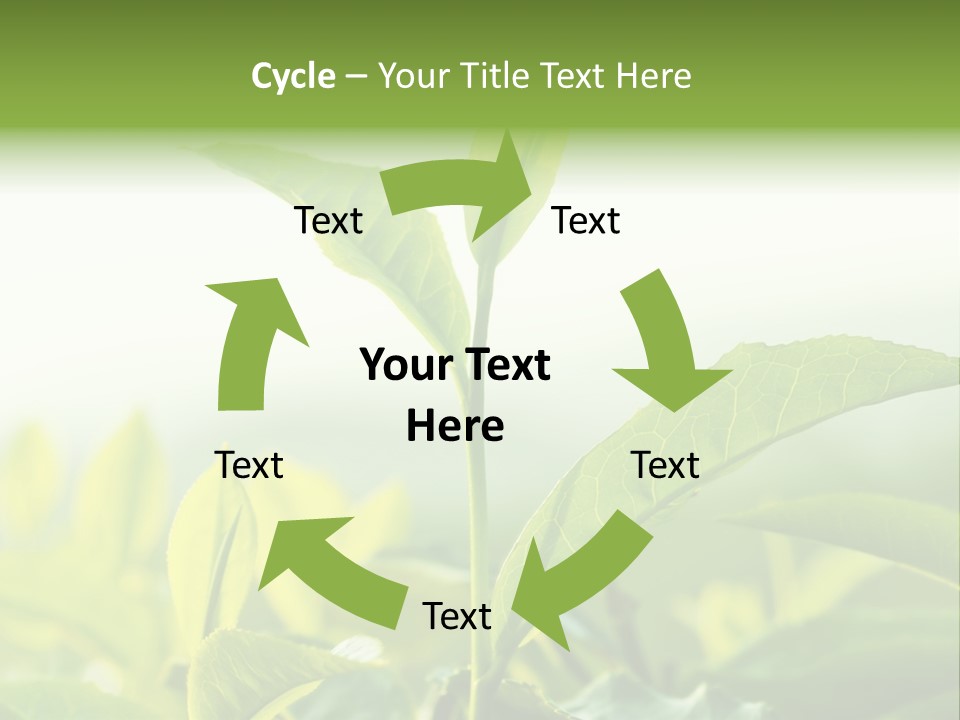 A Green Plant With Leaves On A Sunny Day PowerPoint Template