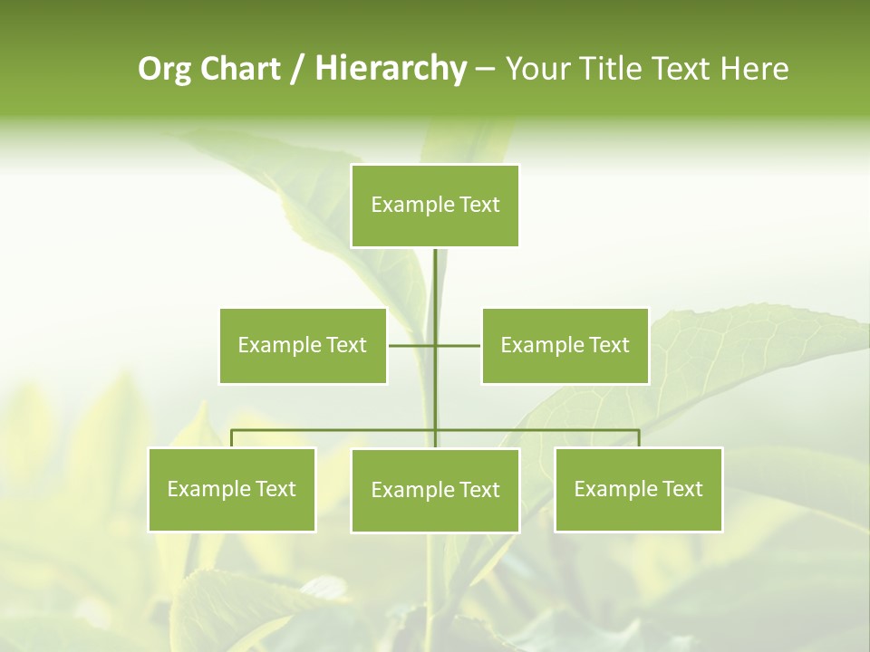 A Green Plant With Leaves On A Sunny Day PowerPoint Template