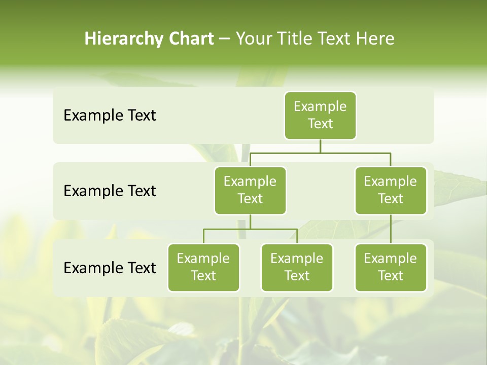 A Green Plant With Leaves On A Sunny Day PowerPoint Template