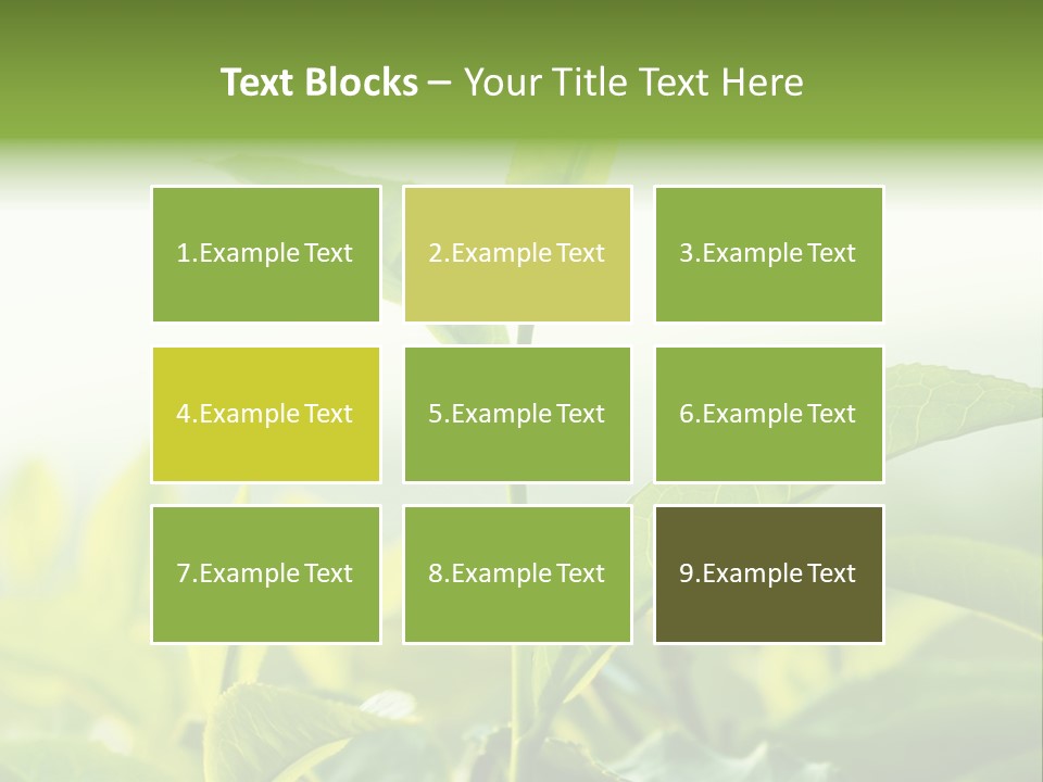 A Green Plant With Leaves On A Sunny Day PowerPoint Template