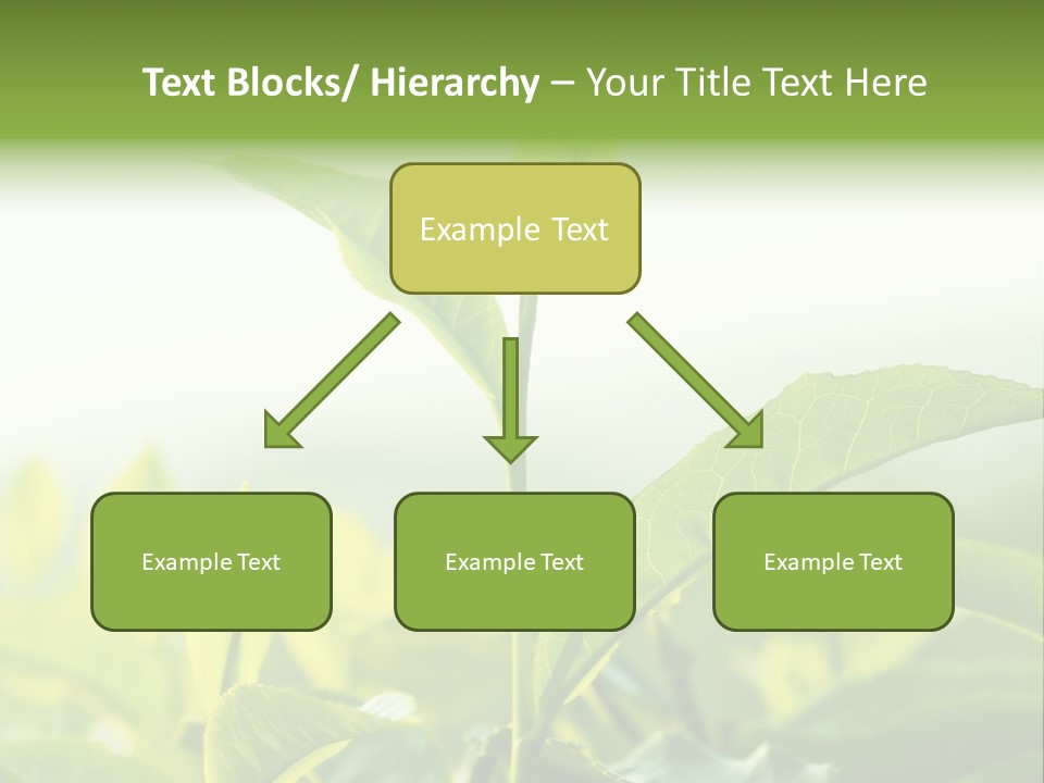 A Green Plant With Leaves On A Sunny Day PowerPoint Template