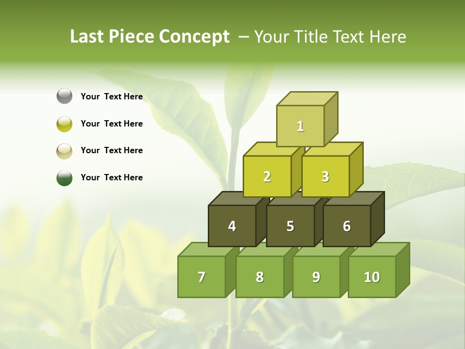 A Green Plant With Leaves On A Sunny Day PowerPoint Template