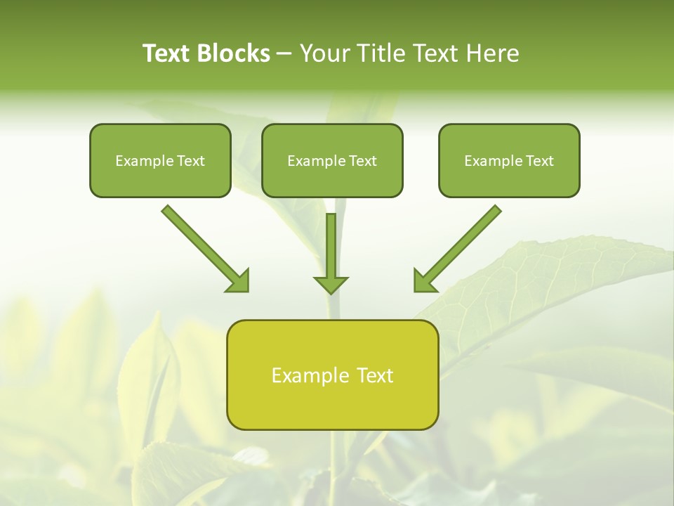 A Green Plant With Leaves On A Sunny Day PowerPoint Template
