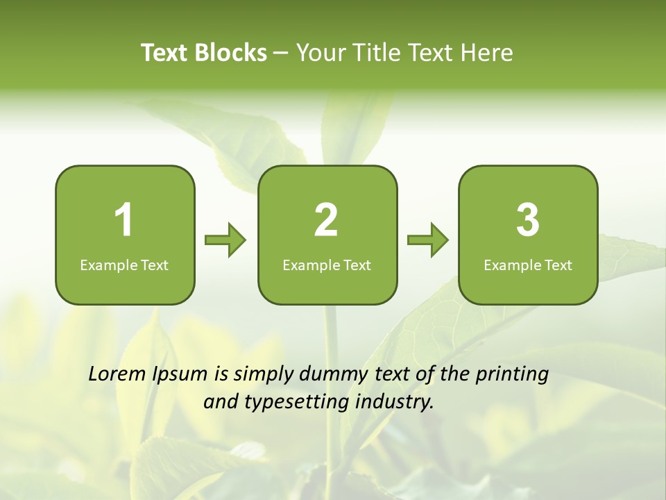 A Green Plant With Leaves On A Sunny Day PowerPoint Template