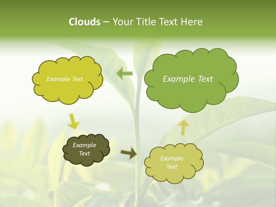 A Green Plant With Leaves On A Sunny Day PowerPoint Template