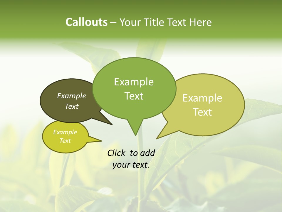 A Green Plant With Leaves On A Sunny Day PowerPoint Template