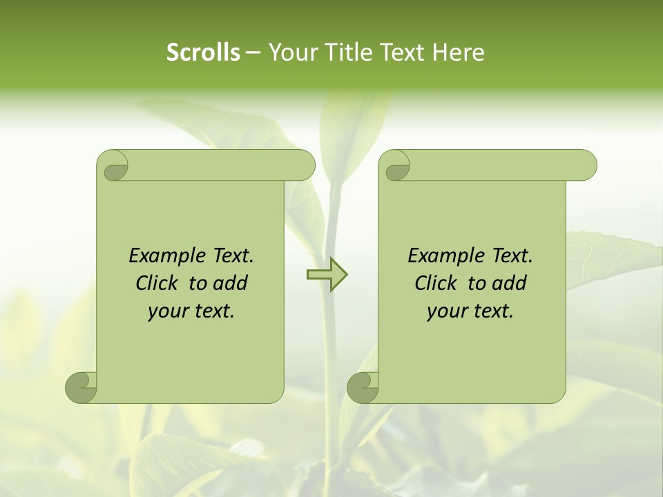 A Green Plant With Leaves On A Sunny Day PowerPoint Template