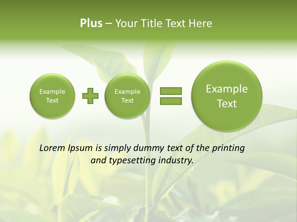 A Green Plant With Leaves On A Sunny Day PowerPoint Template