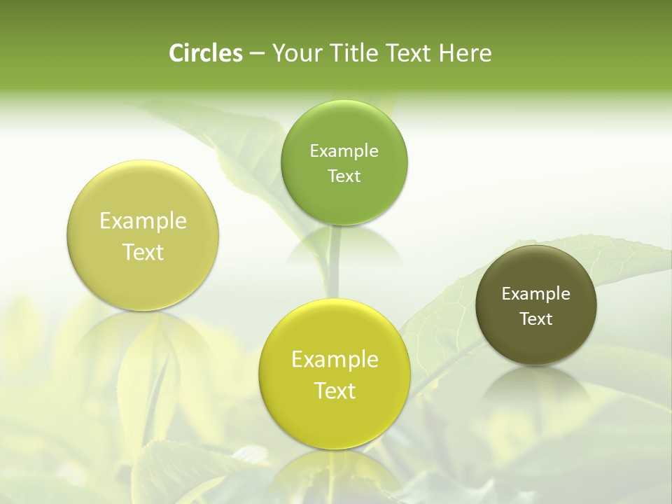 A Green Plant With Leaves On A Sunny Day PowerPoint Template