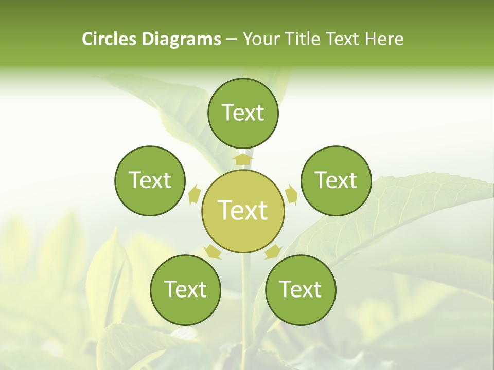 A Green Plant With Leaves On A Sunny Day PowerPoint Template