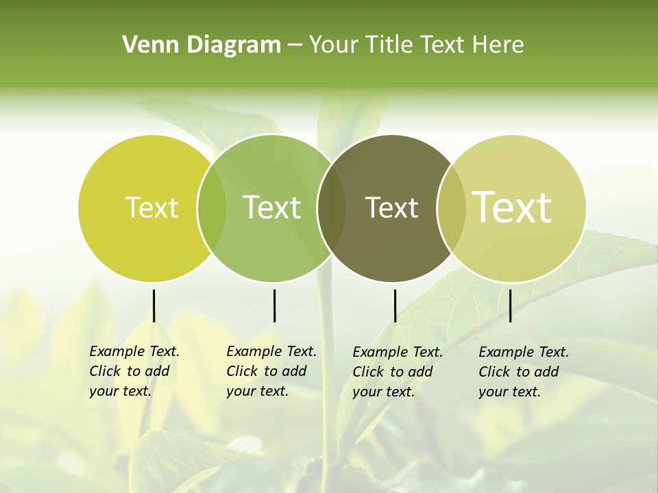 A Green Plant With Leaves On A Sunny Day PowerPoint Template