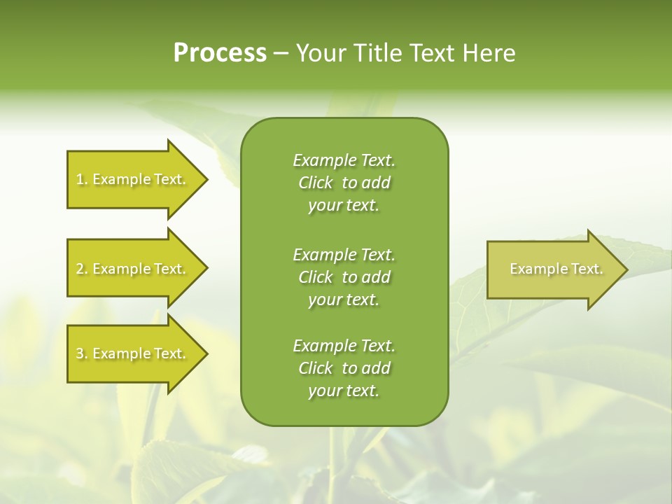 A Green Plant With Leaves On A Sunny Day PowerPoint Template