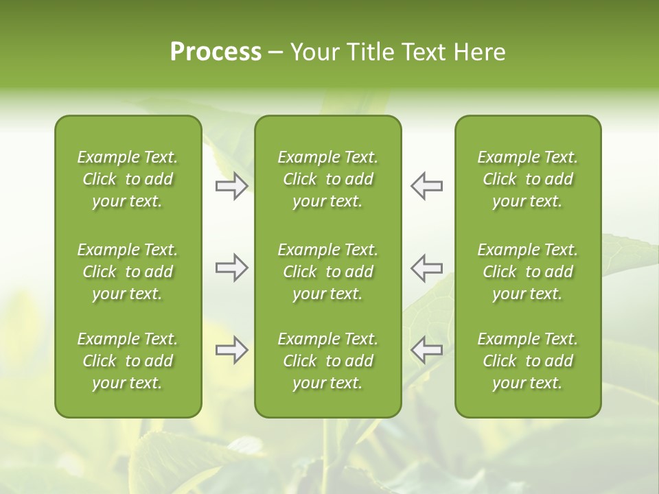 A Green Plant With Leaves On A Sunny Day PowerPoint Template