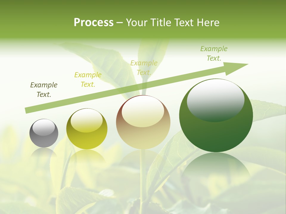 A Green Plant With Leaves On A Sunny Day PowerPoint Template